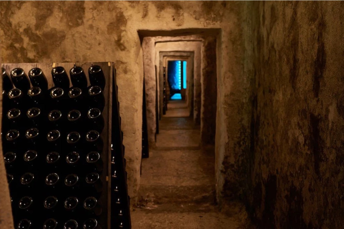 Apollonio Casa Vinicola