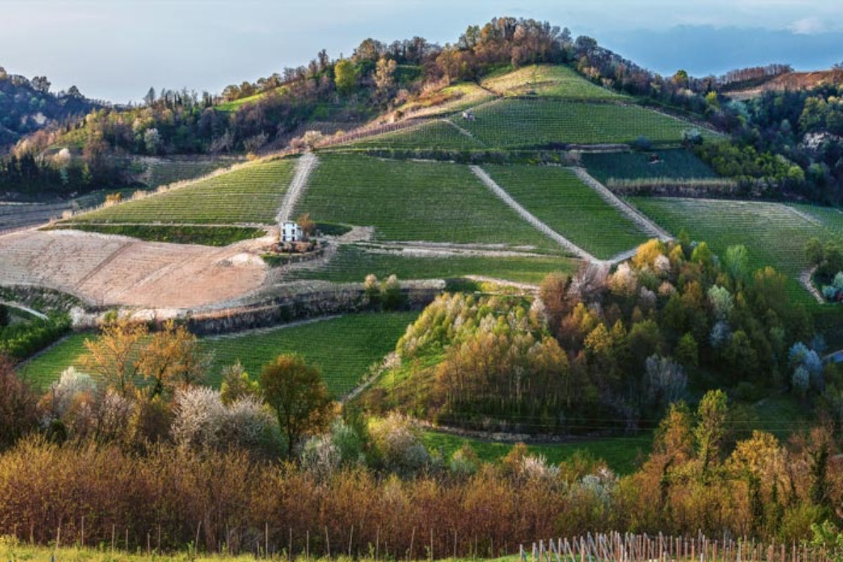 Az. Agricola Matteo Correggia