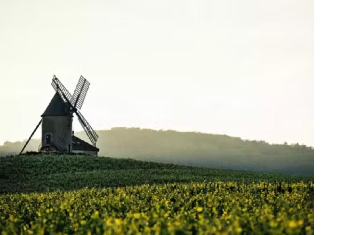Château des Moulins à Vent