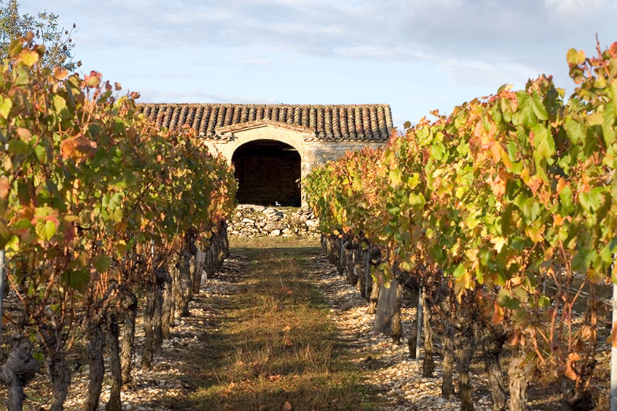 Domaine du Prince