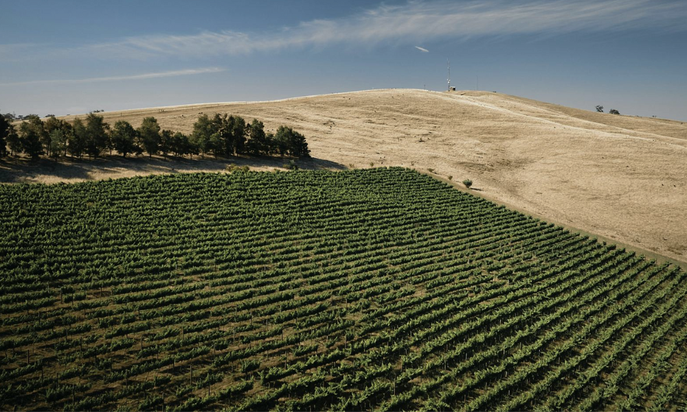 Grosset Wines