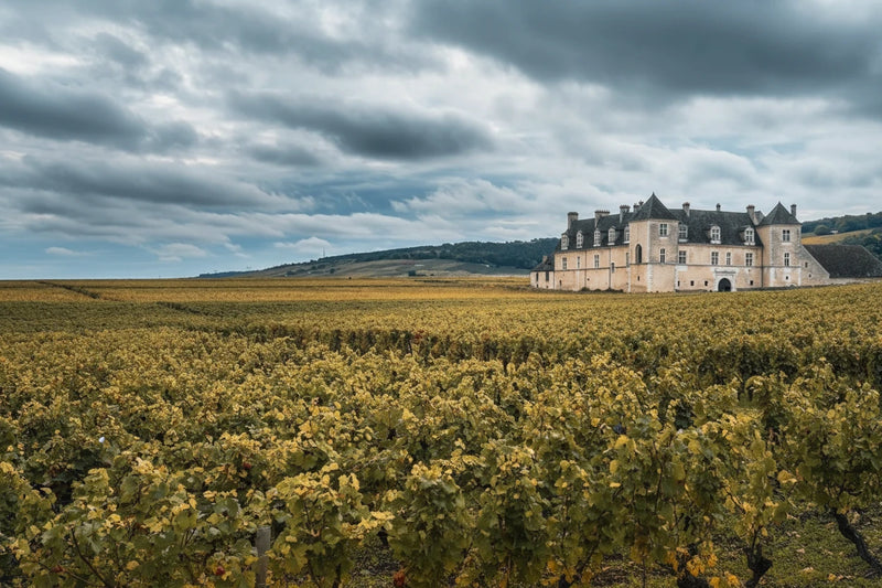 Domaine de la Vougeraie