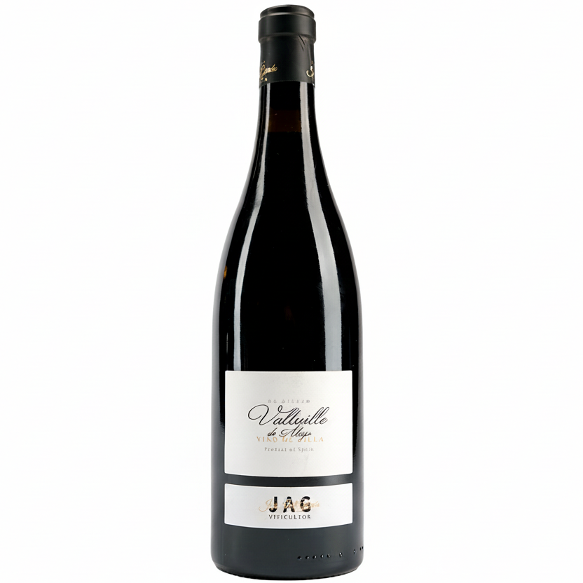 José Antonio García Mencia Valtuille de Abajo Vino de Villa