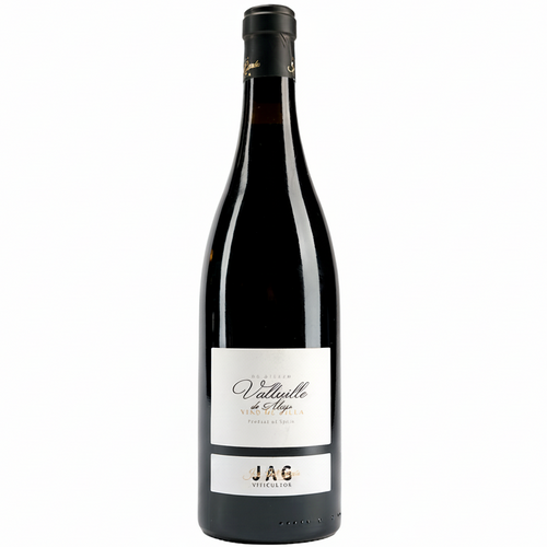 José Antonio García Mencia Valtuille de Abajo Vino de Villa