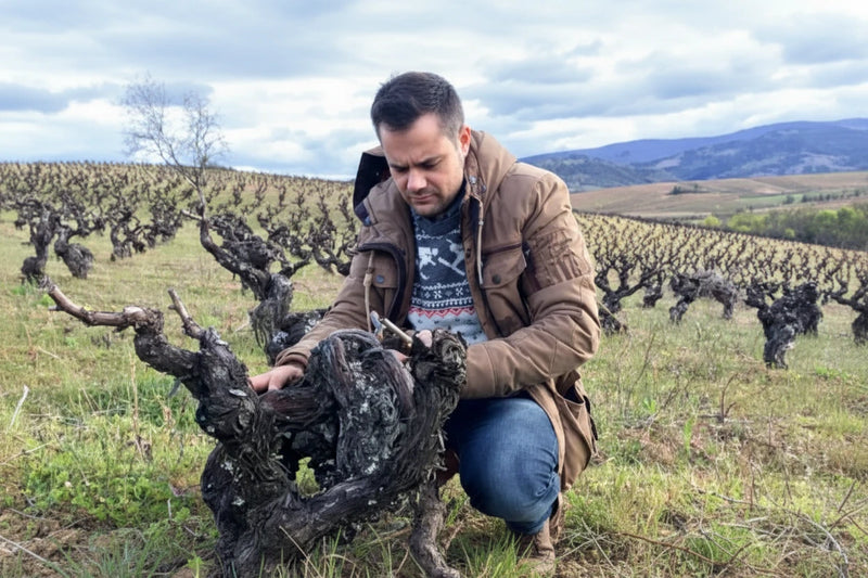 José Antonio García