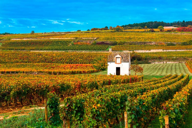 Domaine Pinson