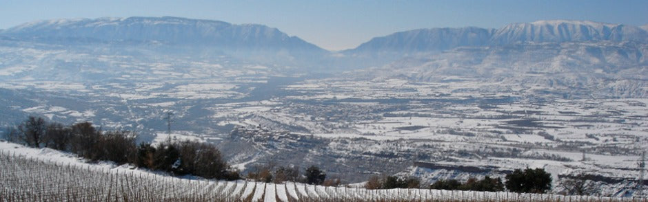Castell d’Encús (Raül Bobet)